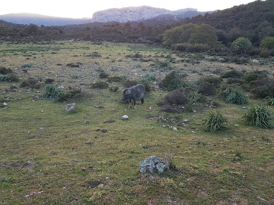 Sardegna arrampicata, Mezzogiorno di pietra