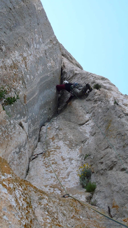 Camaleontica - P.ta Cusidore - Sardegna