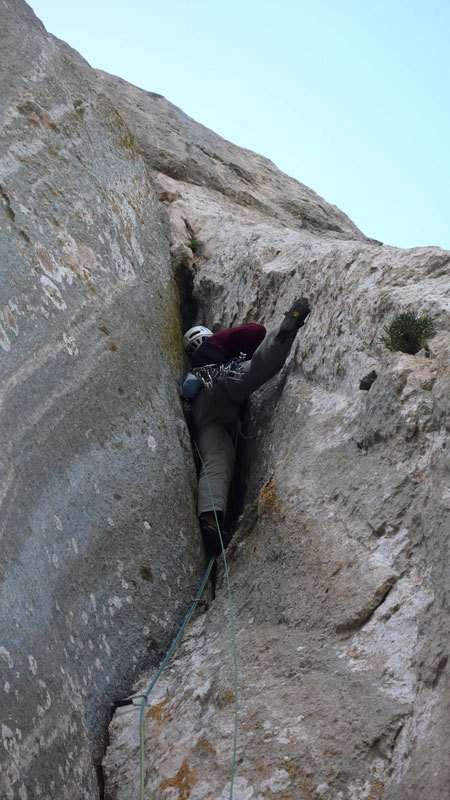 Camaleontica - P.ta Cusidore - Sardegna