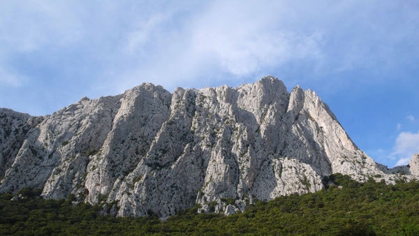 Camaleontica - P.ta Cusidore - Sardegna