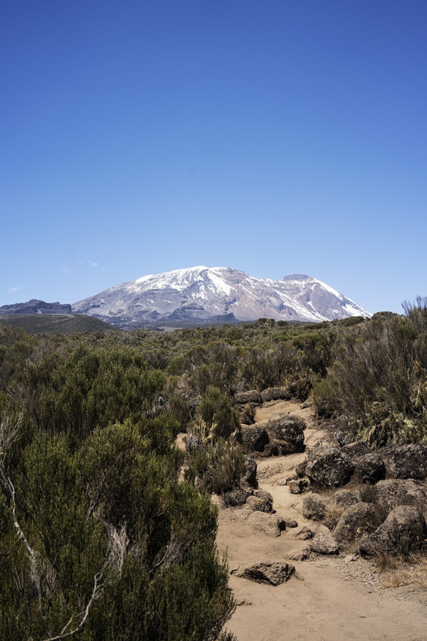 Tom Belz Kilimangiaro