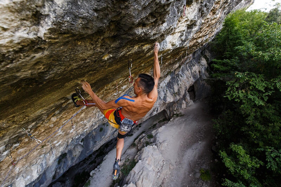 Eric Albertini, Massone, Arco
