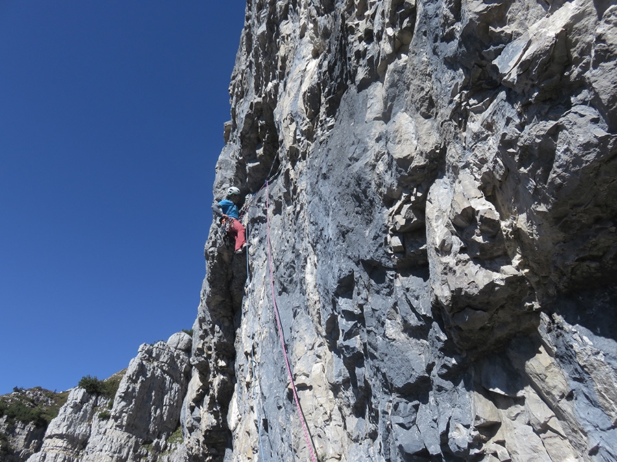 Pale di San Lucano, Dolomites