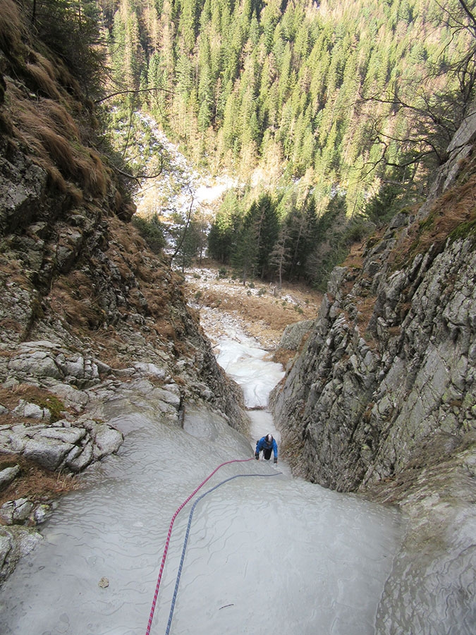 Val Regana, Cima d'Asta, Francesco Lamo