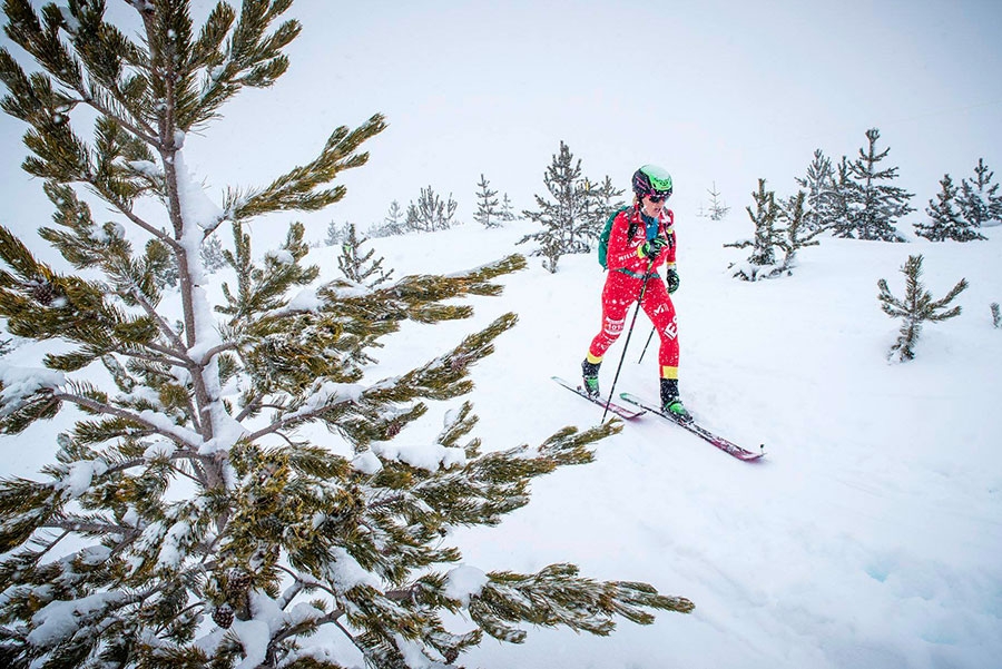 Ski Mountaineering World Cup 2019