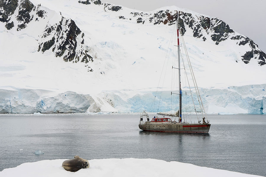 Antarctic, Manuel Lugli