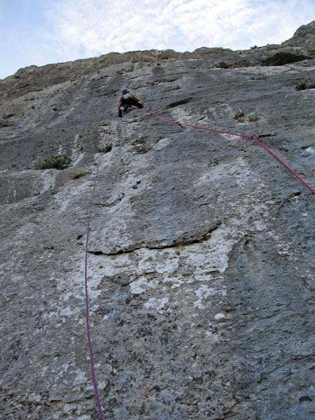 Hystrix, Pizzo Campana, Sicilia