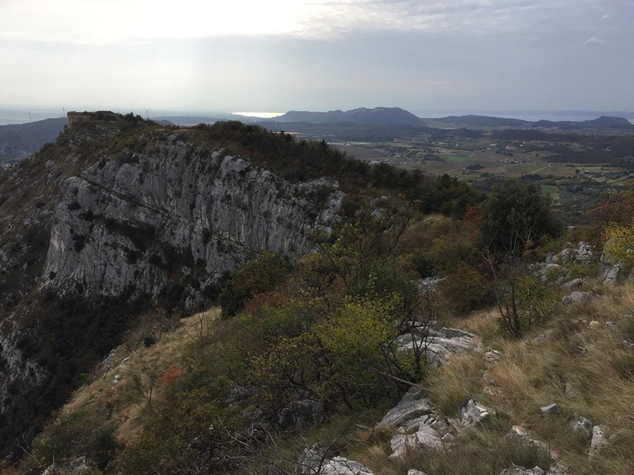 Leone di Nemea, Monte Cordespino, Val d'Adige