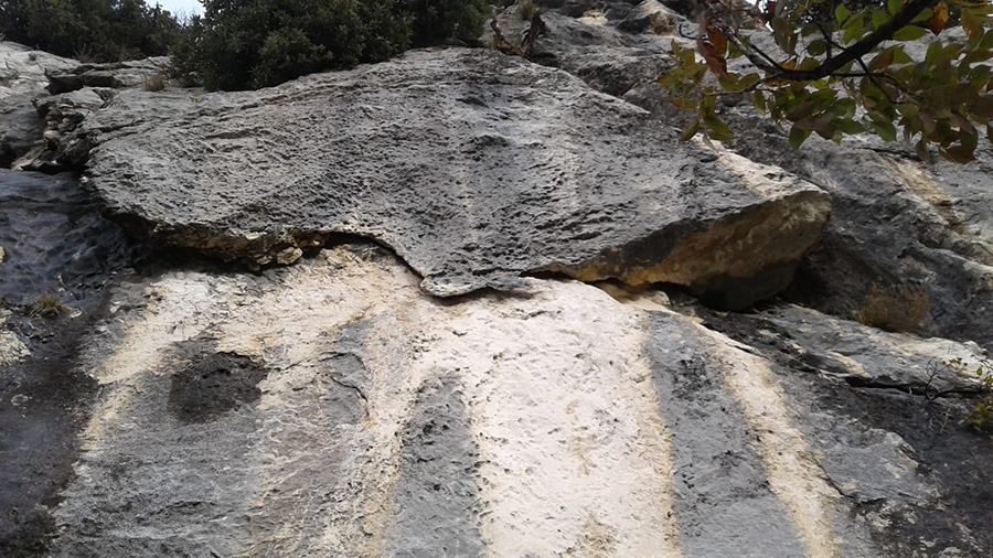 Leone di Nemea, Monte Cordespino, Val d'Adige