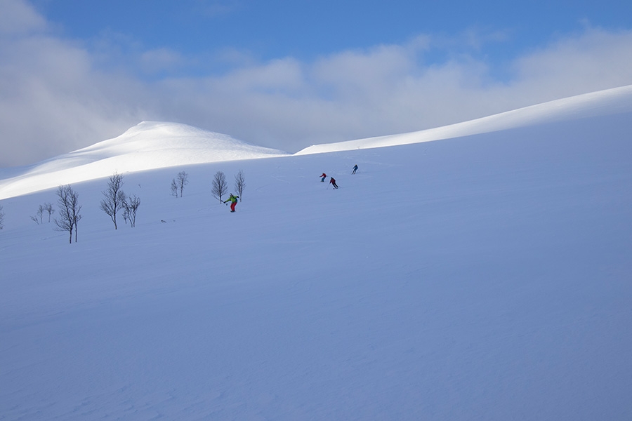 Lofoten & Lyngen Powder Expedition, Norvegia, Enrico Zampieri, Lorenzo Barutta, Massimo Guzzonato, Francesco Lazari, Matteo Sala