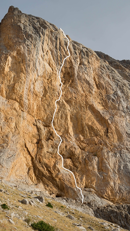 Spirit Bird, Ala Daglar, Turkey