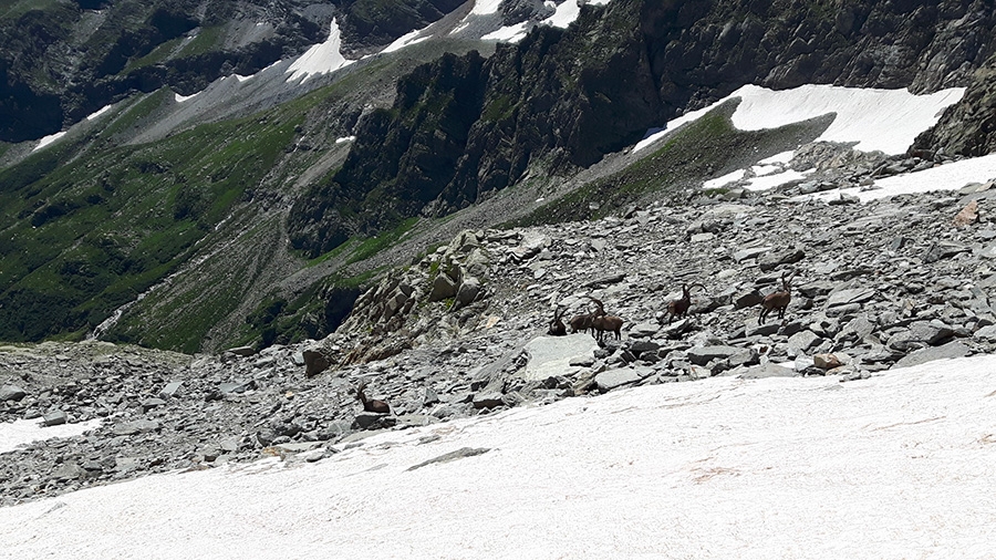 Valli di Lanzo Traverse, Valle dell'Orco, Valle di Viù