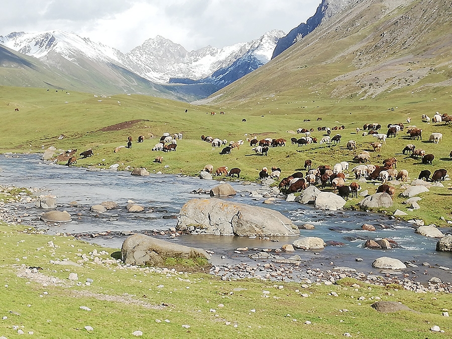 Kyrgyzstan trekking, Tian Shan