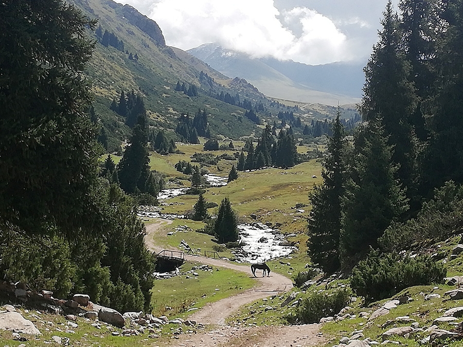 Kyrgyzstan trekking, Tian Shan