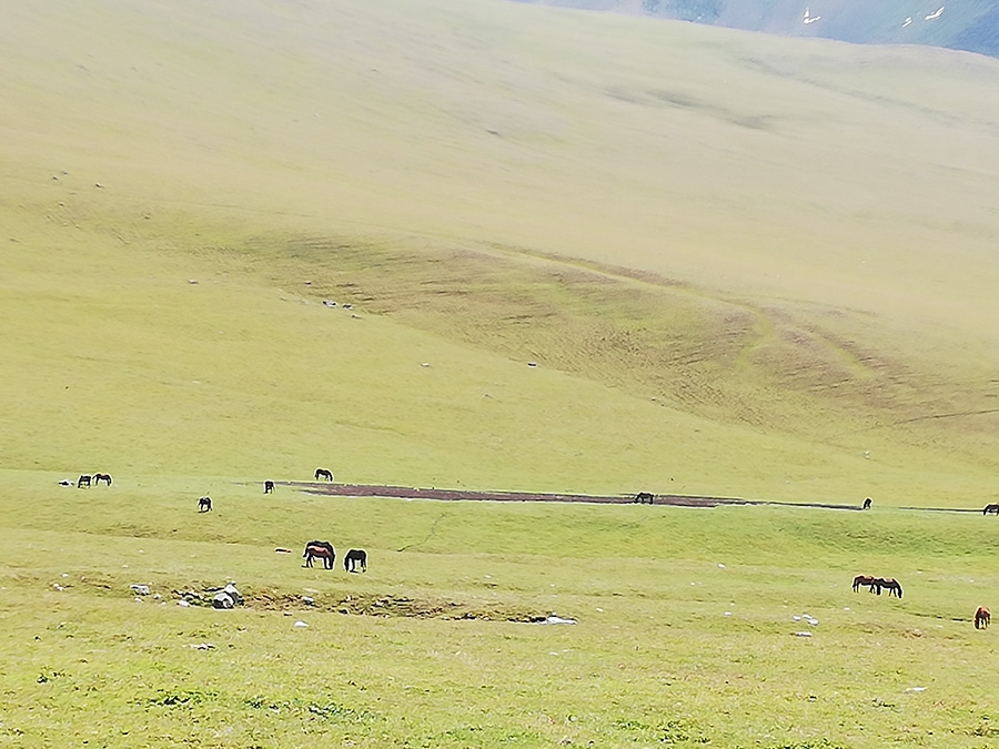 Kyrgyzstan trekking, Tian Shan