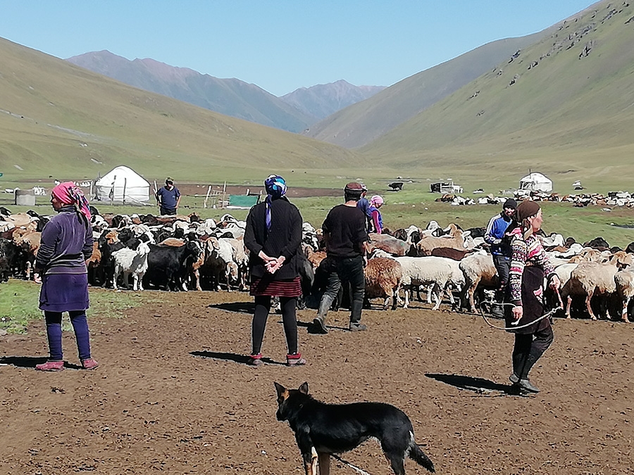 Kyrgyzstan trekking, Tian Shan