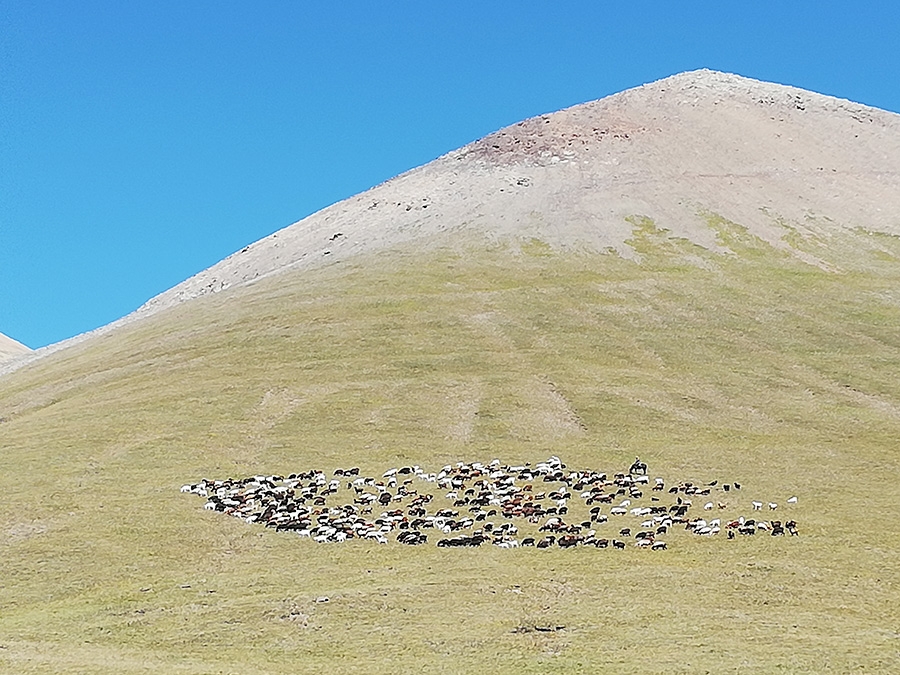 Kyrgyzstan trekking, Tian Shan