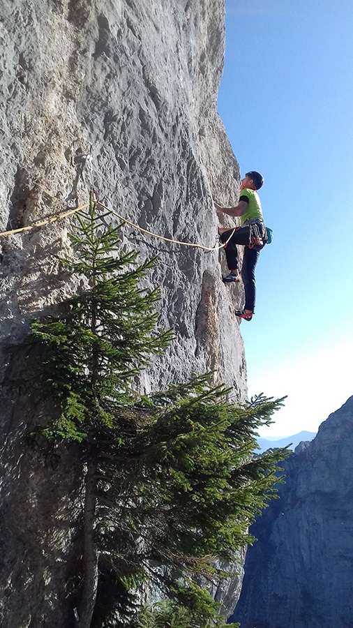 Dolomiti di Brenta, Rolando Larcher, Yurka Libera, Cima Sparavieri