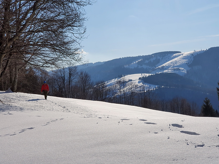 Monte Pubel Valsugana, Francesco Leardi