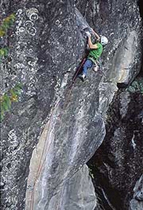 Mauro Calibani