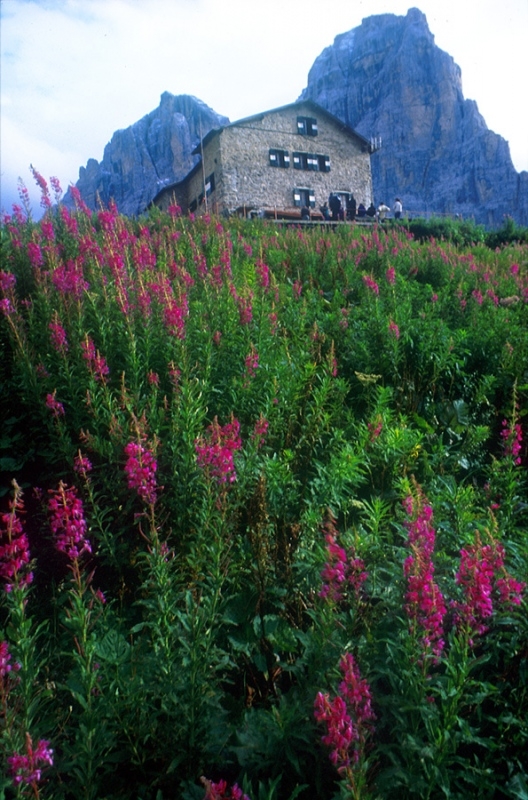 Rifugio Brentei