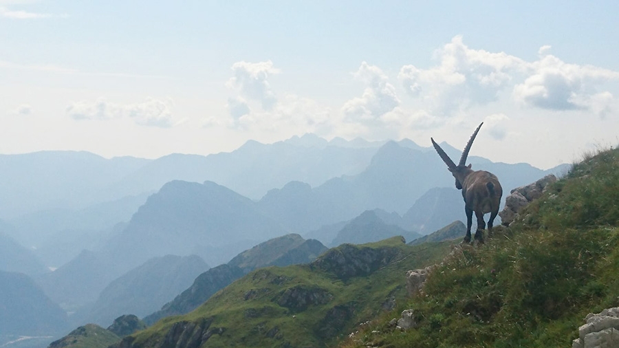 Monte Duranno, Via Normale, La Via dei Cacciatori Ertani