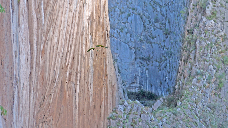 Vuelo de Fortuna, Canyon de la Sandìa, Huasteca, Messico, Rolando Larcher, Alex Catlin