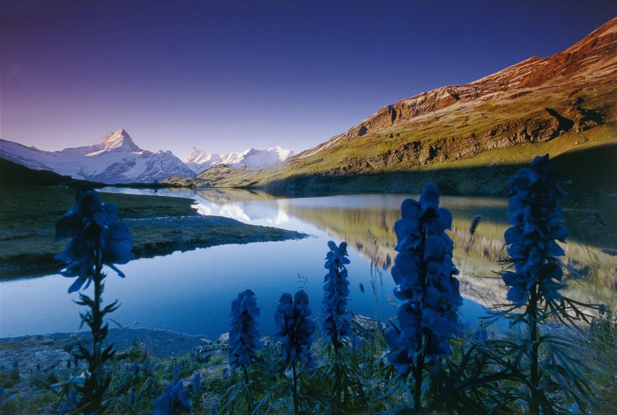 Bachalpsee, Svizzera