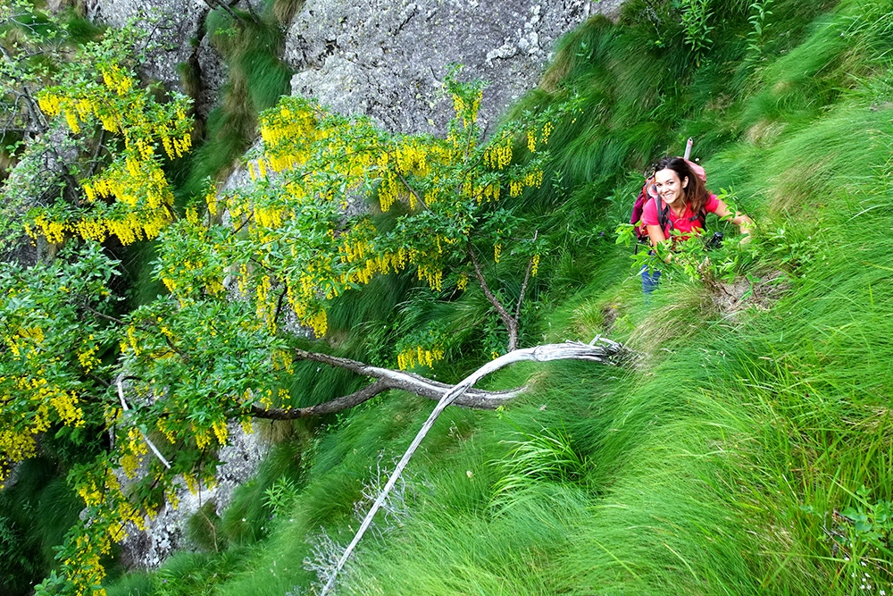 Arrampicata Valle Orco, Vallone di Piantonetto, Filippo Ghilardini, Martina Mastria, Alessandro Zuccon