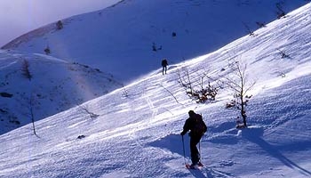 Racchette da neve 