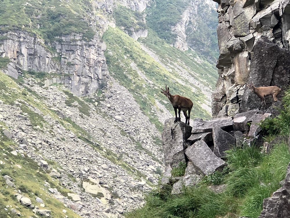 Vallone di Sea Torre di Gandalf
