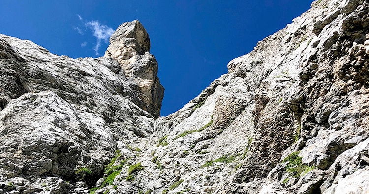 Fungo d’Ombretta, Torre Moschitz, Dolomiti, Bepi De Francesch, Francesco Innerkofler, Giorgia Felicetti, Federico Dell’Antone