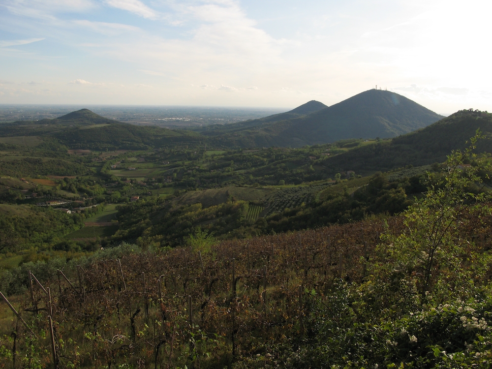 Walking in the Eugeanean Hills