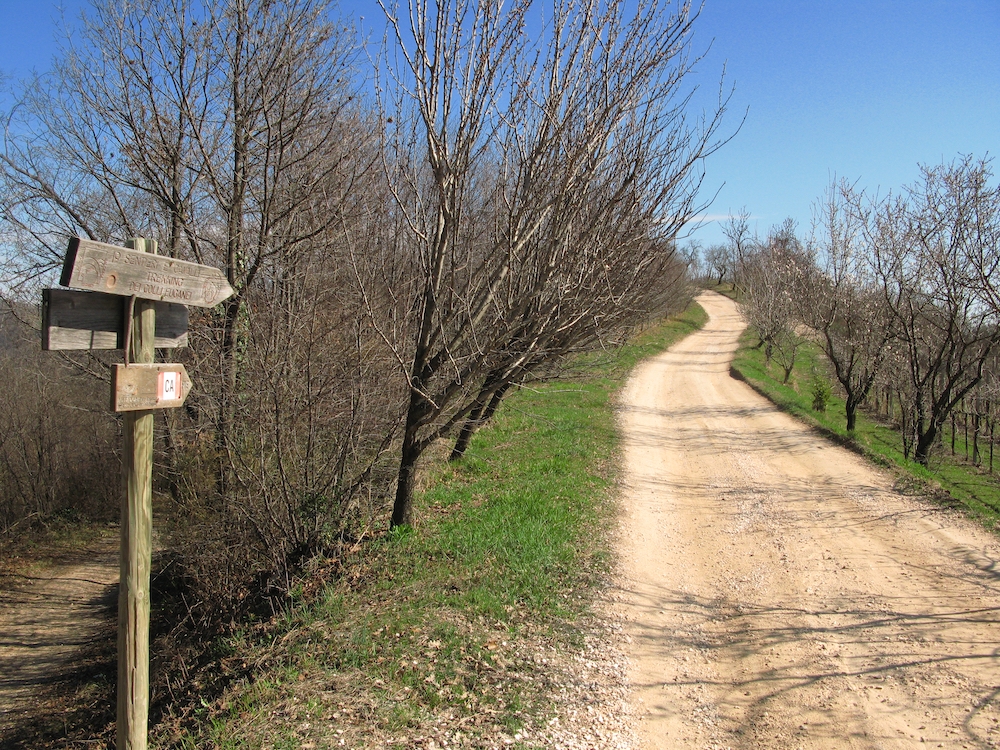 Colli Euganei, Veneto