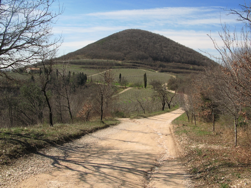 Colli Euganei, Veneto