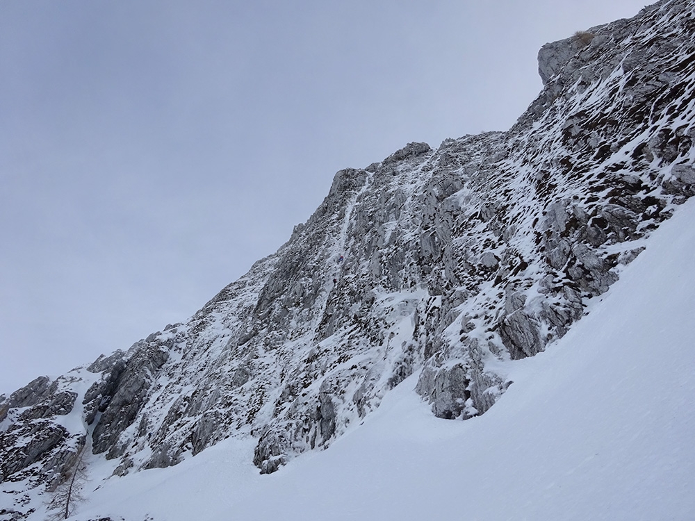 Cimon di Palantina, Alpago