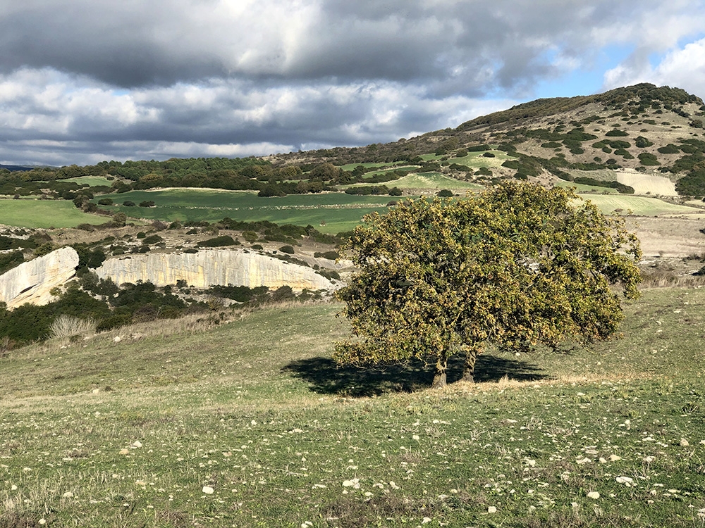 Isili, Sardinia, Corvo Solitario