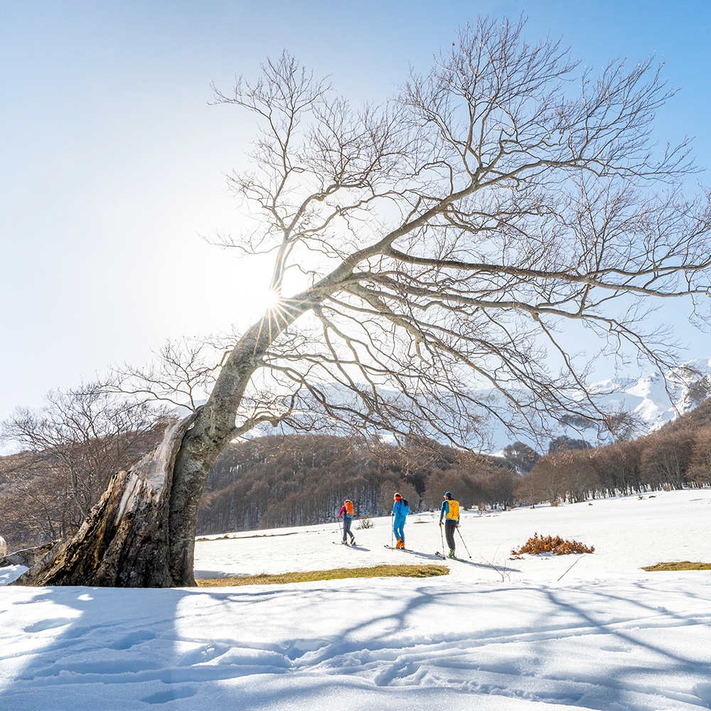 Il respiro della montagna