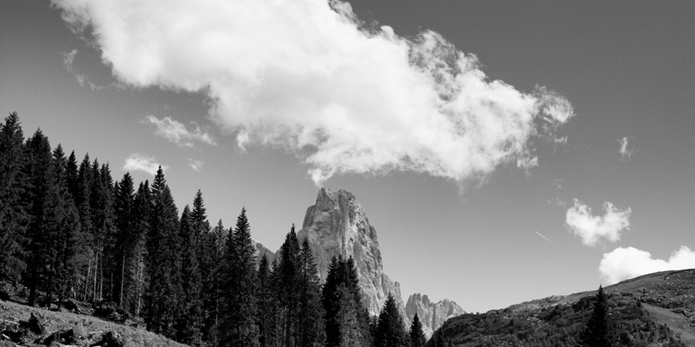Trento Film Festival 2021