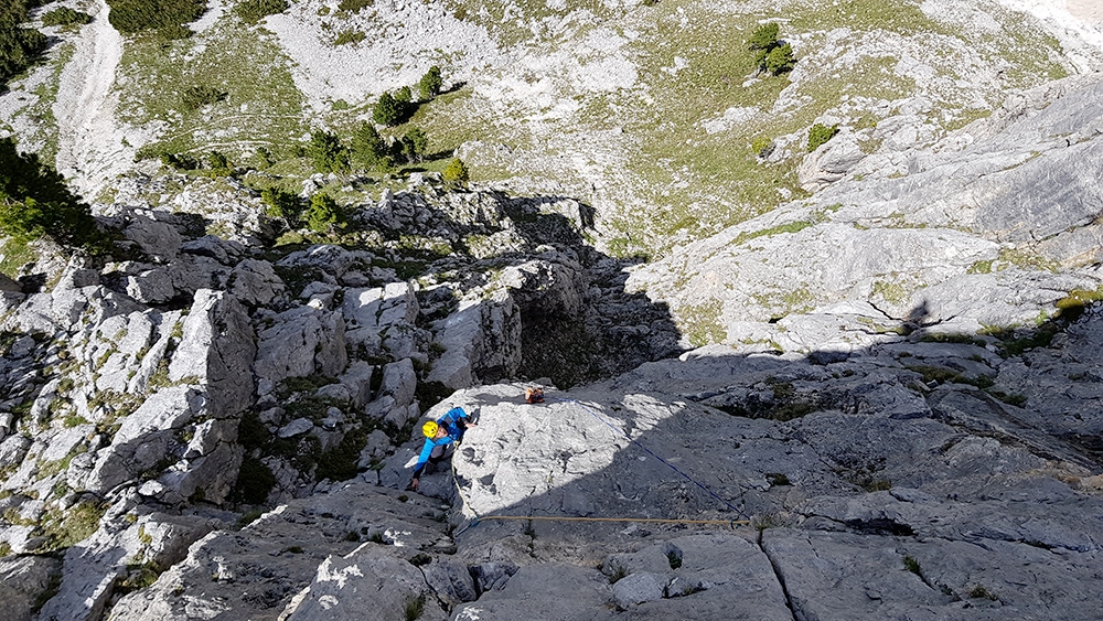 Vecchie Glorie, Dirupi di Larsec, Rosengarten, Dolomites, Marco Bozzetta, Alberto Salogni