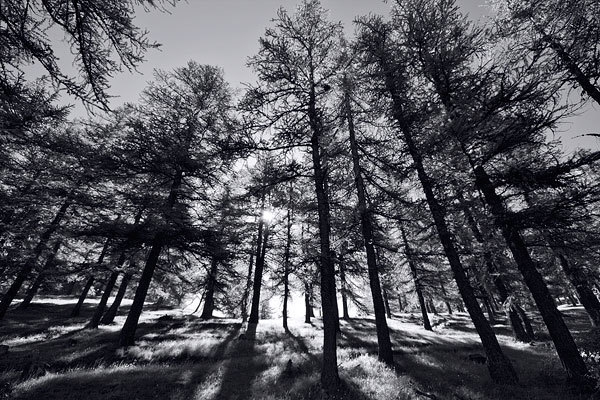 Parco naturale Orsiera Rocciavré