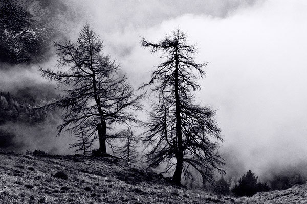 Parco naturale Orsiera Rocciavré