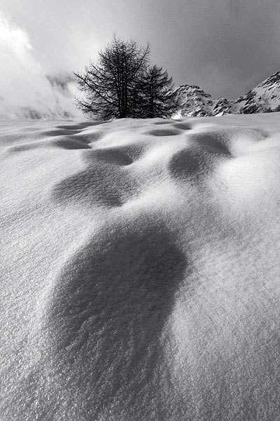 Piano dell'Alpe-Val Chisone (TO)