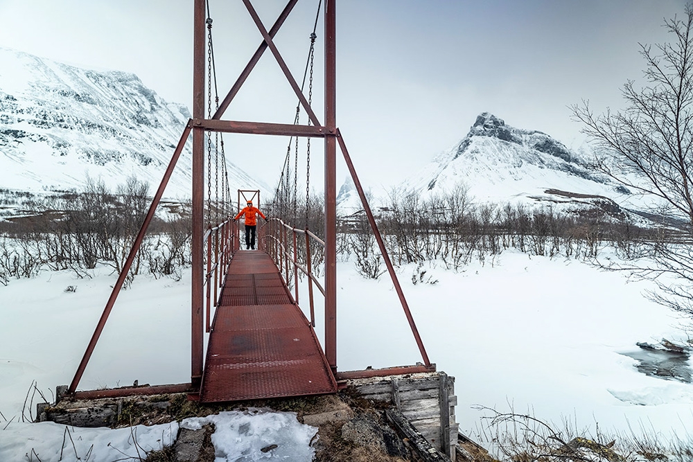 Freedom To Explore, Jackie Paaso