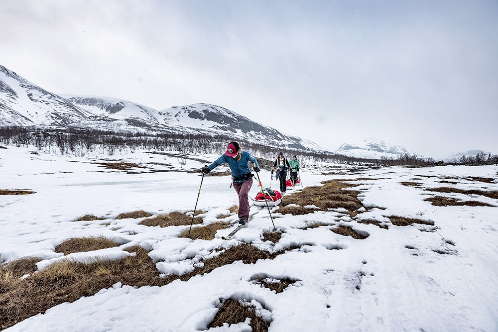 Freedom To Explore, Jackie Paaso
