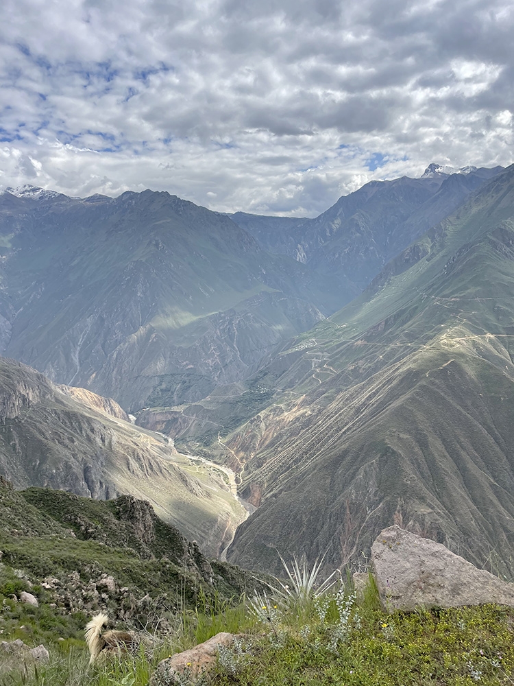 Colca Canyon, Peru