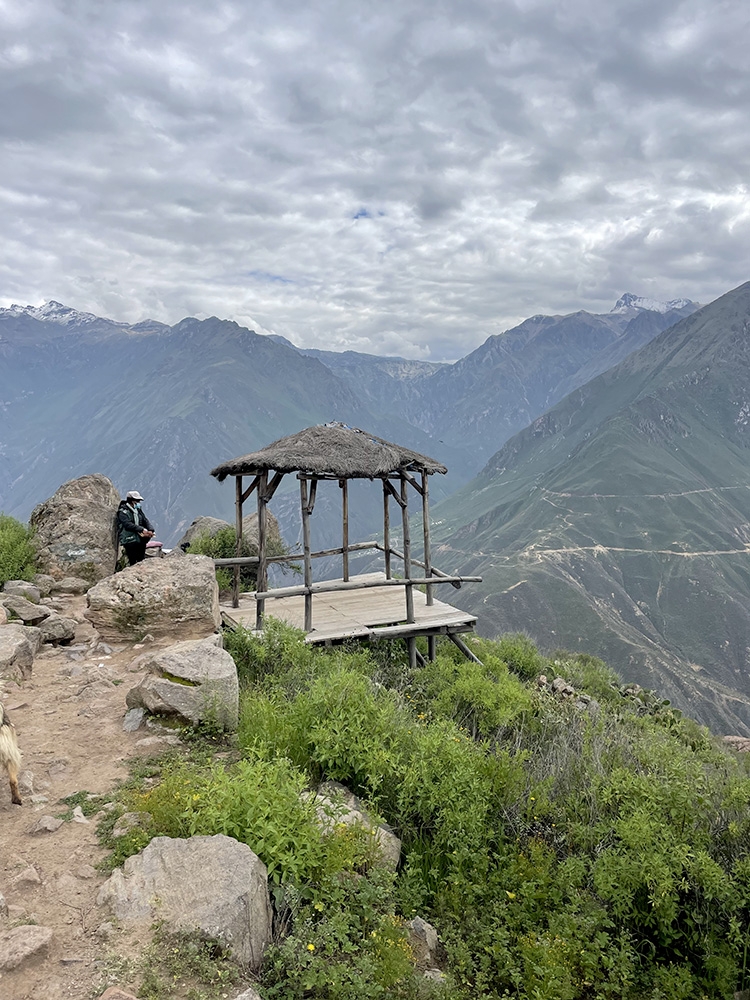 Cañón del Colca , Perù, Nicolò Guarrera
