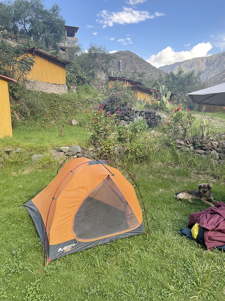 Cañón del Colca , Perù, Nicolò Guarrera
