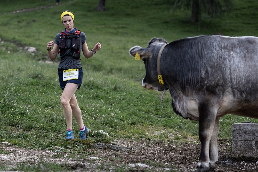 Cortina Sky Race 2022