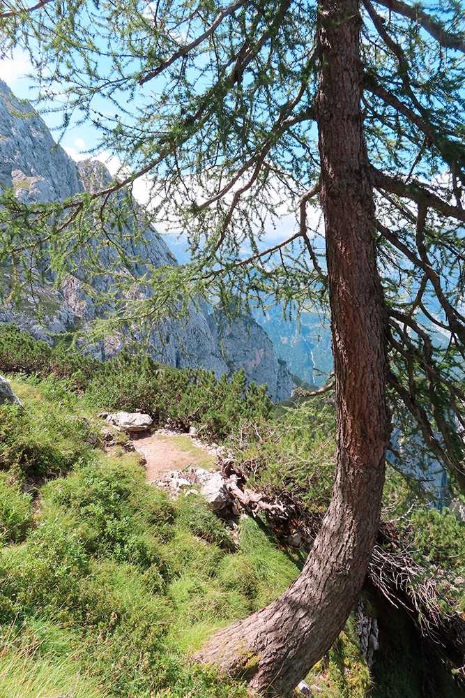 Agner, Valle di San Lucano, Dolomites, Diego Dellai, Marco Toldo